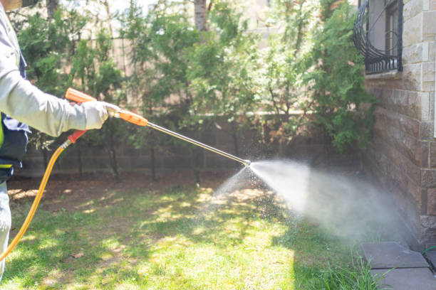 Best Mosquito Control Services  in Risg Sun, IN