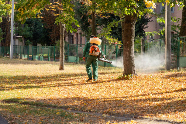 Best Exterminator Services  in Risg Sun, IN