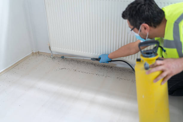 Best Wasp Removal Services  in Risg Sun, IN